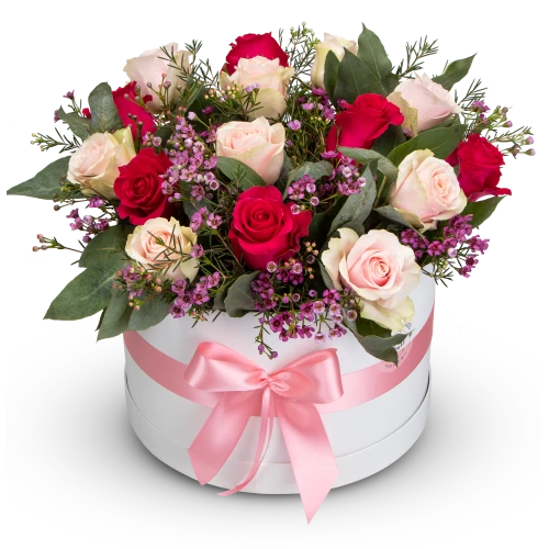 Box růžových růží